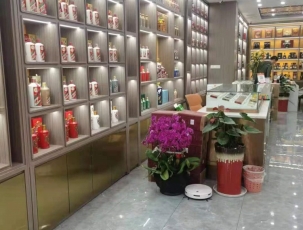 案例展示